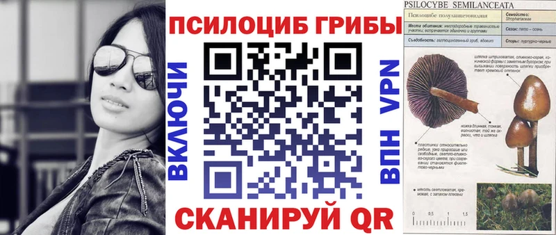 Галлюциногенные грибы Cubensis  купить   Касли 